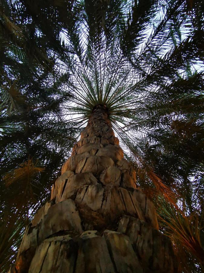 Alberi Lodge Hatta Exteriér fotografie